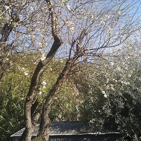 La Roseraie Avec Sdb Privée * Montpellier